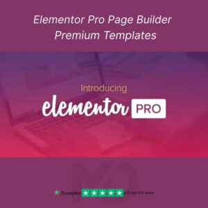 Elementor Pro Website Builder – more than just a page builder